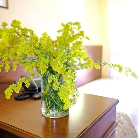 Hotel Camilla 3*