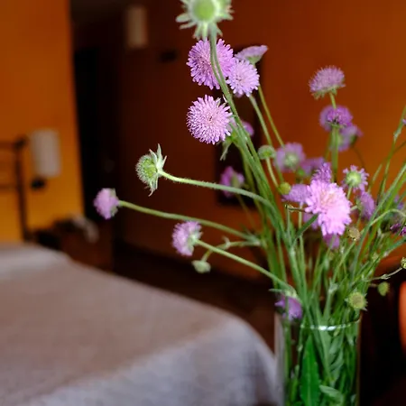 Hotel Camilla 3*